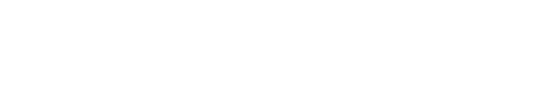 TypeFellow